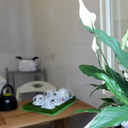 La Terrazza Sul Porto Bed & Breakfast