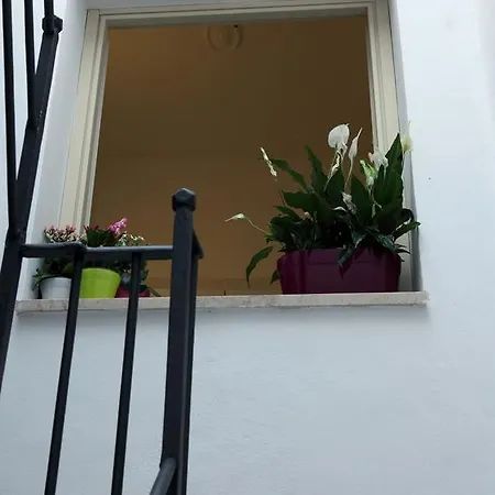 Frühstückspension La Terrazza Sul Porto 3*