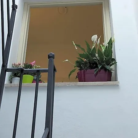 Frühstückspension La Terrazza Sul Porto Trapani